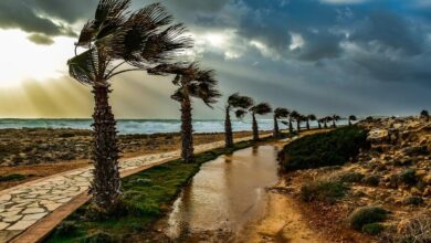 Photo of Плюсы и минусы кирпичного дома