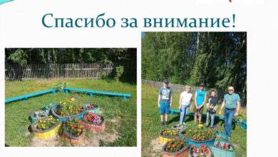 Photo of Устройство зон отдыха и развлечений