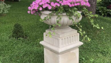 Photo of Добавление декоративных элементов